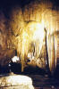 BSECMNS 1965 30 Cueva de Valporquero.jpg (169297 bytes)