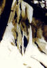 BSECMNS 1965 52 Gurt Cavern.jpg (112592 bytes)